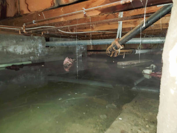  Trumann, AR Water damage restoration Pros