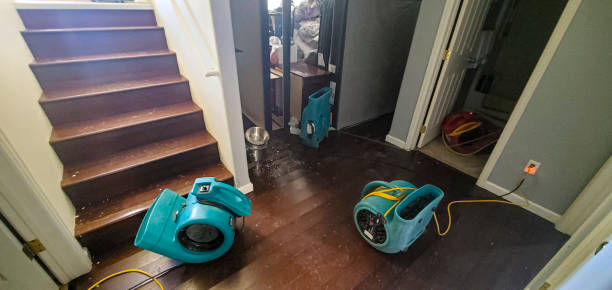 Best Local water damage restoration  in Trumann, AR