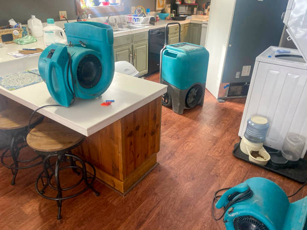 Best Mold removal after water damage  in Trumann, AR