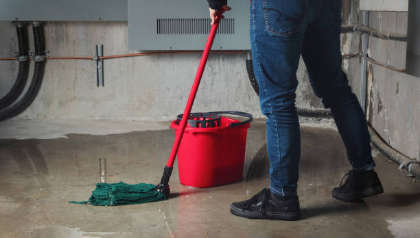 Best Emergency water damage restoration  in Trumann, AR