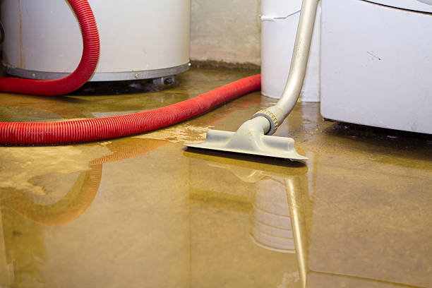 Best Water damage contractors near me  in Trumann, AR