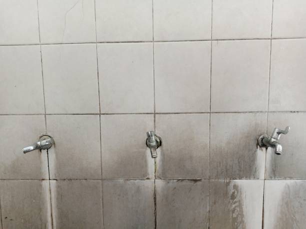 Best Water damage restoration near me  in Trumann, AR