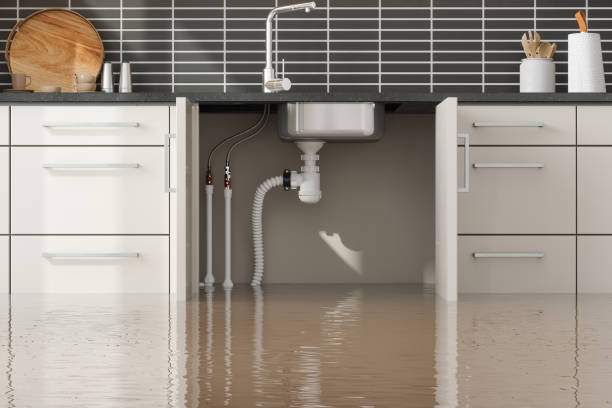 Carpet water damage restoration in AR